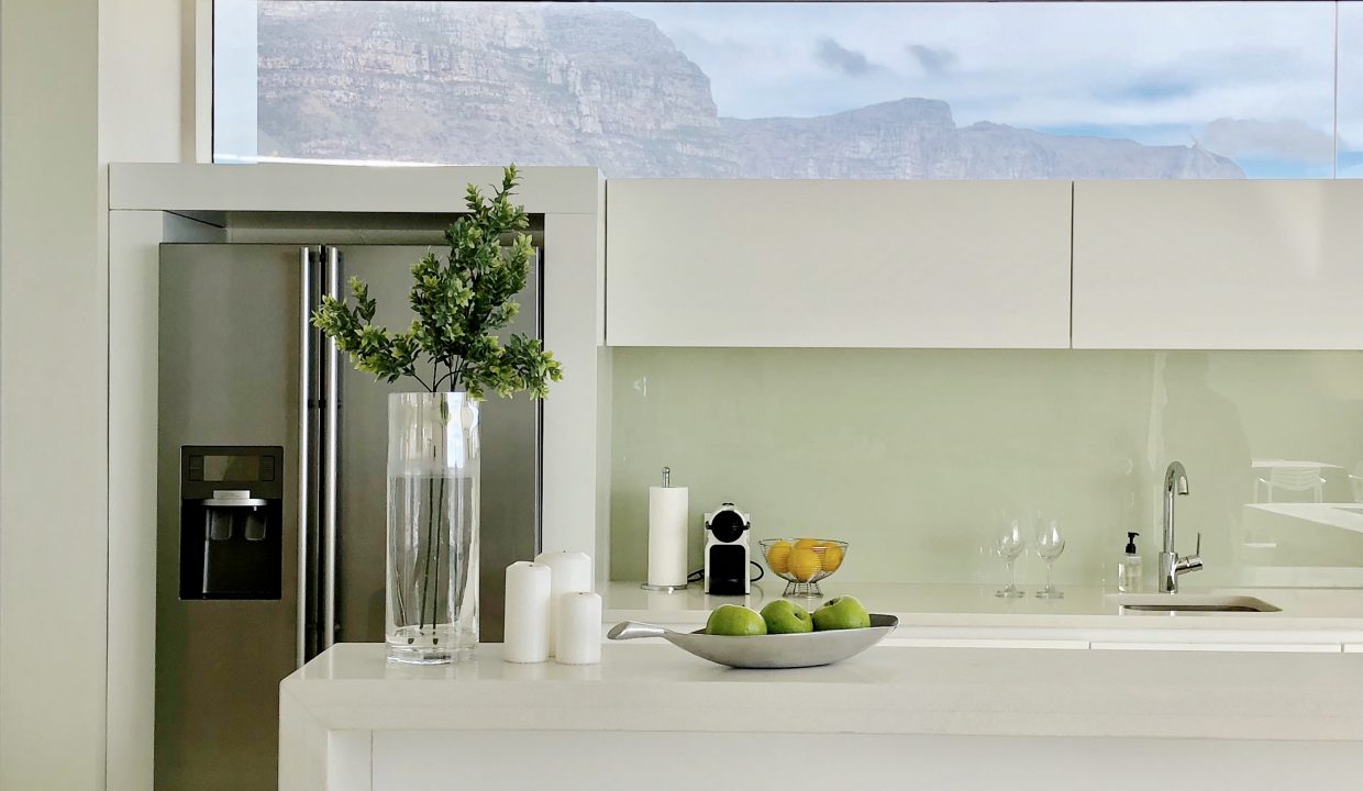 Penthouse Kitchen Detail