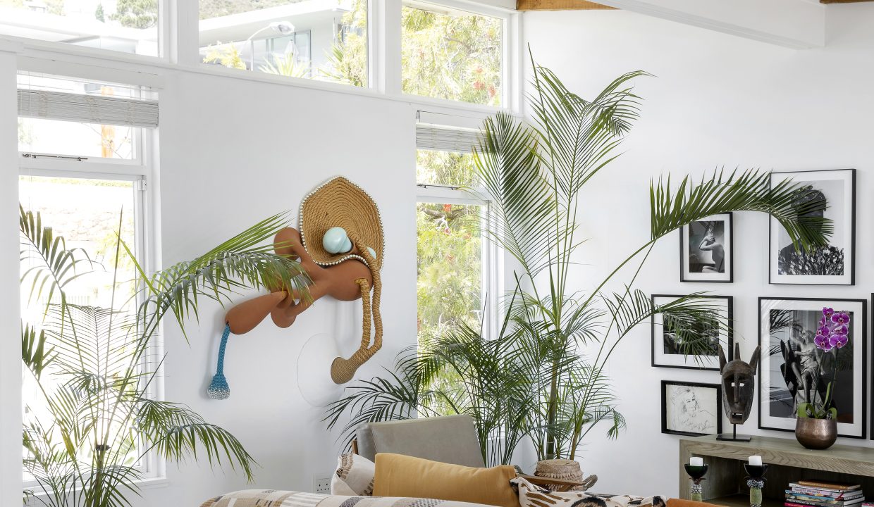 SummerRose-18-11-2022-8349