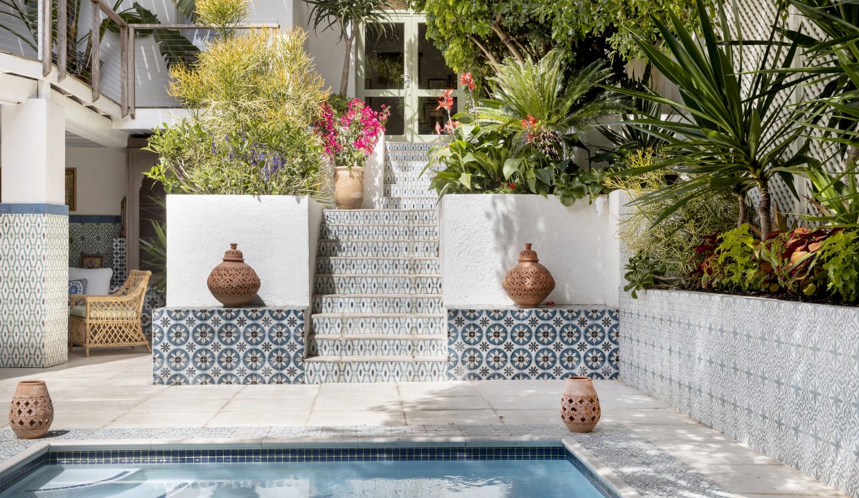 SummerRose-18-11-2022-8483